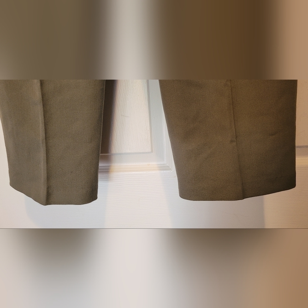 NWT $36 Women's Bayleaf Green Sag Harbor Petite Stretch Pants Size 10P New Tags! - Picture 5 of 10